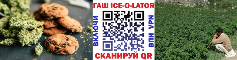 купить наркотики сайты  Болохово  Cannafood конопля 