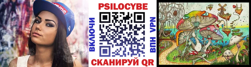 Псилоцибиновые грибы ЛСД  Болохово 
